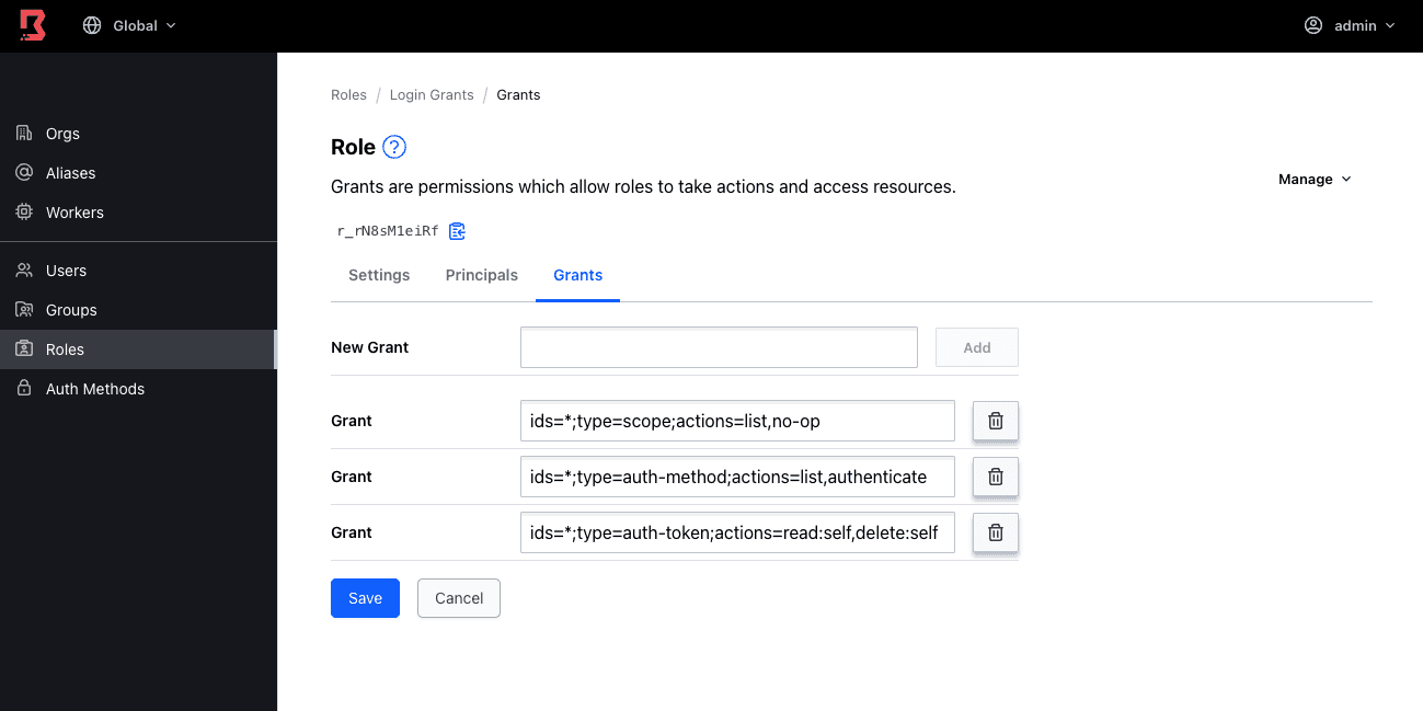 Boundary UI grants view